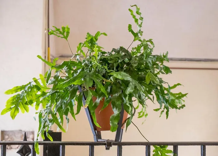 La Casina Nel Centro